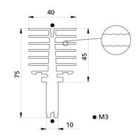 P296